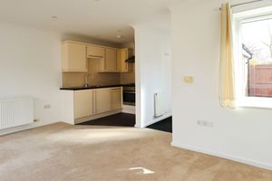 Photo 15- click for photo gallery